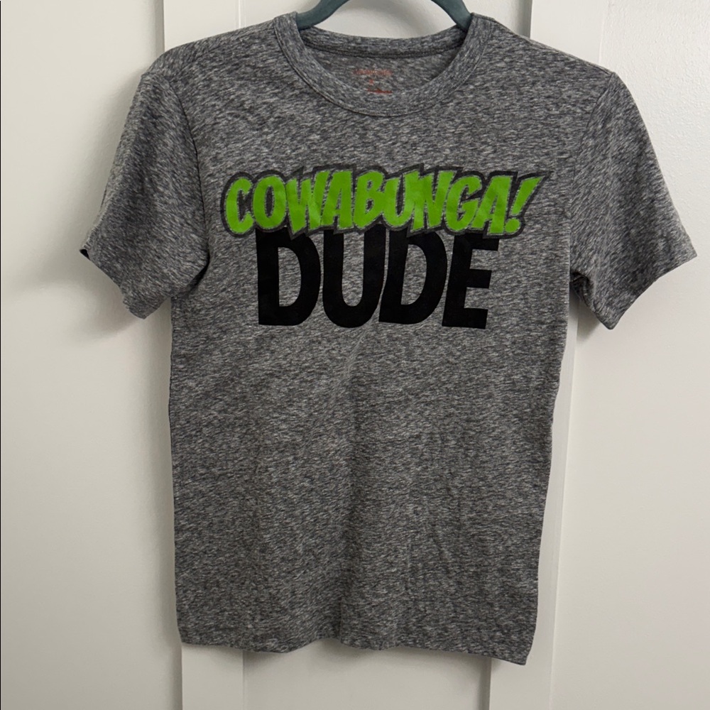 Crewcuts Gray Tee with Green and Black Graphic
